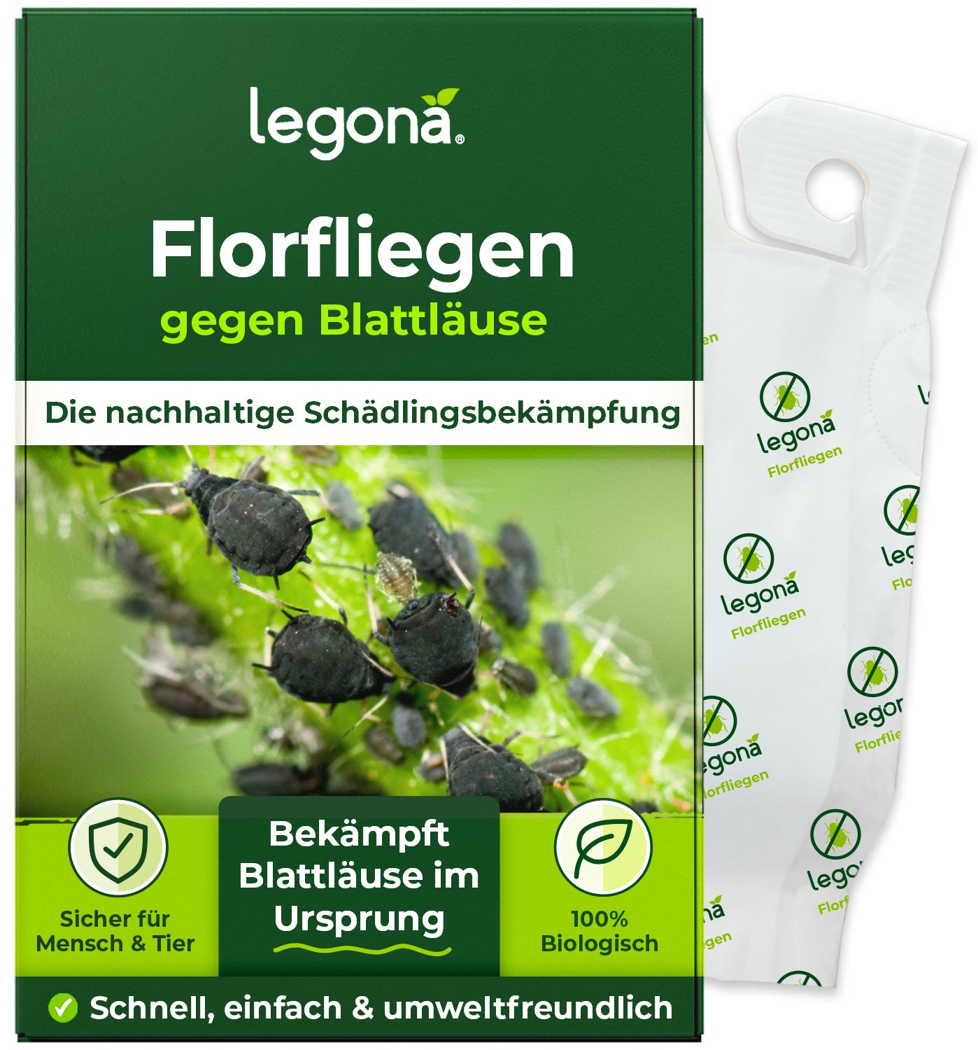 Florfliegenlarven gegen Blattläuse und Thripse