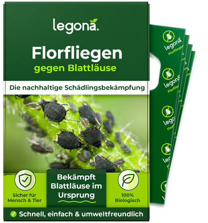 Florfliegenlarven gegen Blattläuse und Thripse