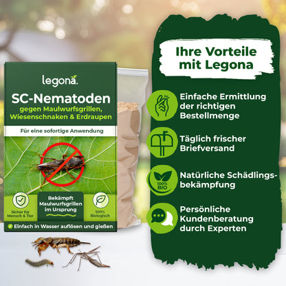 SC-Nematoden gegen Maulwurfsgrillen und Wiesenschnaken