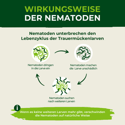 SF-Nematoden Kapseln gegen Trauermücken