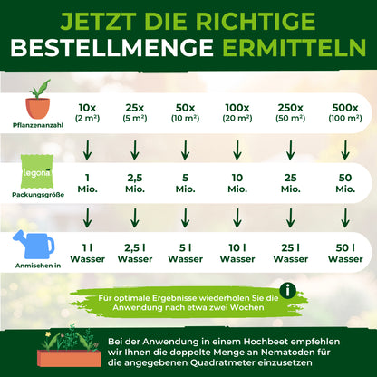 SF-Nematoden gegen Trauermücken