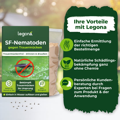 SF-Nematoden gegen Trauermücken