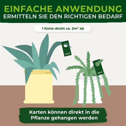 Florfliegenlarven gegen Blattläuse und Thripse